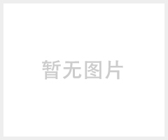 展望兴脉冲压排机 手机屏幕排线压接机